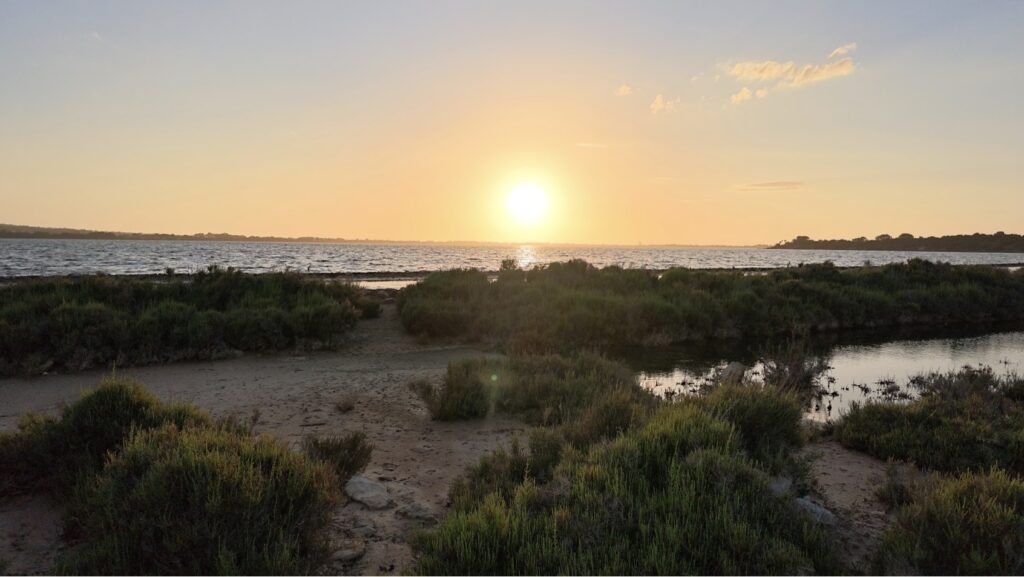 Formentera da Bologna