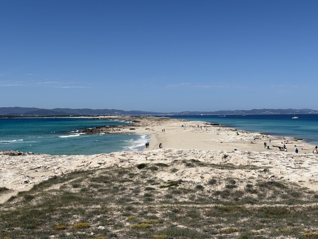 Formentera da Bologna
